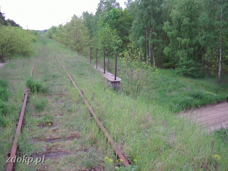 2005-05-23.089 stawiany-kiszkowo widok na gniezno.jpg - linia Gniezno Winiary -Sawa Wlkp., ok. 32.5 km, pkt 8C - widok w kierunku Kiszkowa.